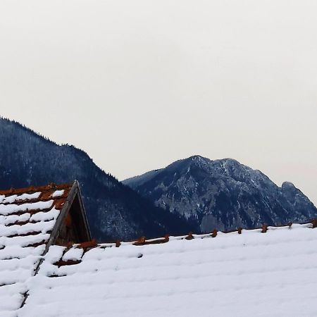 Casa Piatra Craiului 호텔 Zărneşti 외부 사진